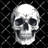 Profilbild von Vik748