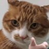 Bin profil fotoğrafı