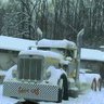 Profilbild von Mike Olson aka Trucker Mike