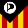 Profilbild von ENTE♻️PirAten🏴☠️