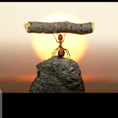 Opowaelahkeno77's profile picture