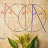 nas007.eth (shadough) profil fotoğrafı