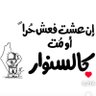 Фото профиля النورس الفلسطيني