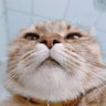 Profilbild von Alpha