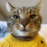 Marco's profile picture