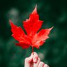 Фото профиля nick 🇨🇦