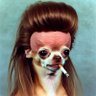 Profilbild von GuardianBeardwizer
