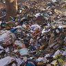 Profilbild von Trash Can