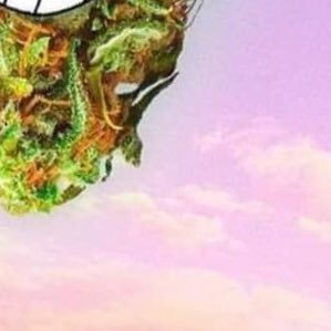 coolguyextendo's profile picture