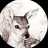 Profilbild von Jane Doe