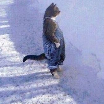 omarsetx1's profile picture