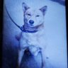 タロー's profile picture