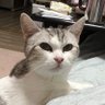 Profilbild von ちーのかか