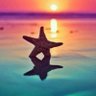 Bokistar13 profil fotoğrafı