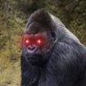 さんさん profil fotoğrafı