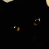 ゆに profil fotoğrafı