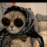 𝒟𝒪𝒜𝒜 🌙 profil fotoğrafı
