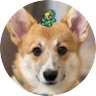 Profilbild von キリ眉のタビー