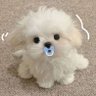 ©️ちたん's profile picture