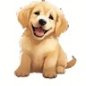 ksr1213's profile picture