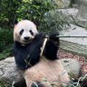 Profilbild von 禅意光辉