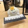 やすっぺ🍃🎹 profil fotoğrafı