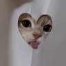 Profilbild von caca!