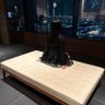 Фото профиля あーちゃん