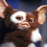 Фото профиля gremlins