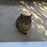 モヴィエ profil fotoğrafı