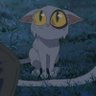 Profilbild von 武汉喜猪0