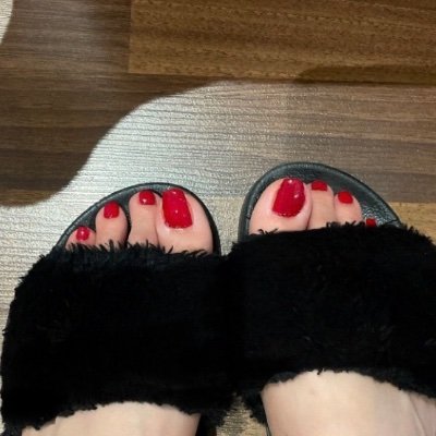Lin's profile picture