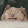 Se profil fotoğrafı