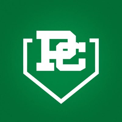 Providence Catholic Baseball's profile picture