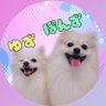 ゆずぽんず 的头像