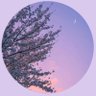 Paty's profile picture