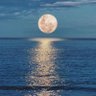 Moon profil fotoğrafı