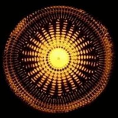 nonnon66348323's profile picture