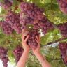 القبطان ..~'s profile picture