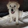 Fulano profil fotoğrafı