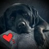 @Dorcas1859 🇬🇧🏴🦖💙's profile picture