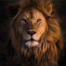 Alleyson Jr's profile picture