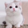 MinTian's profile picture