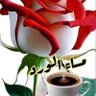 Hamdy Ibrahim's profile picture