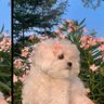 Caty Ar profil fotoğrafı