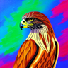 Crooked Falcon's profile picture