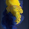 🌪️19💛💙07🌪️'s profile picture