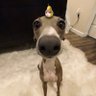 Bompeforce's profile picture