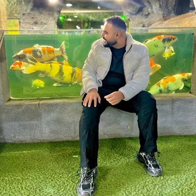 Mohamed Alaa's profile picture