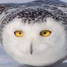 Profilbild von GreenCell5